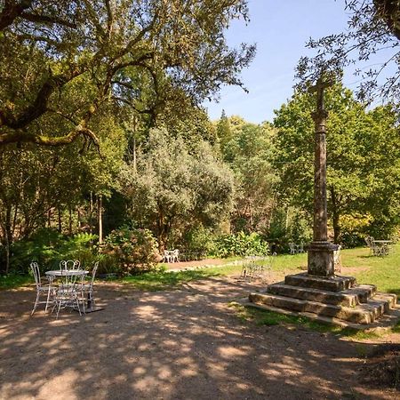 Casa Bacelar Afife Εξωτερικό φωτογραφία