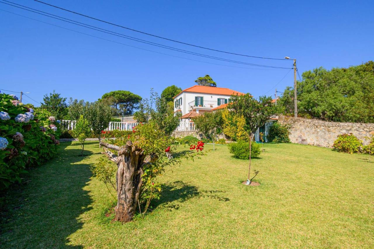 Casa Bacelar Afife Εξωτερικό φωτογραφία